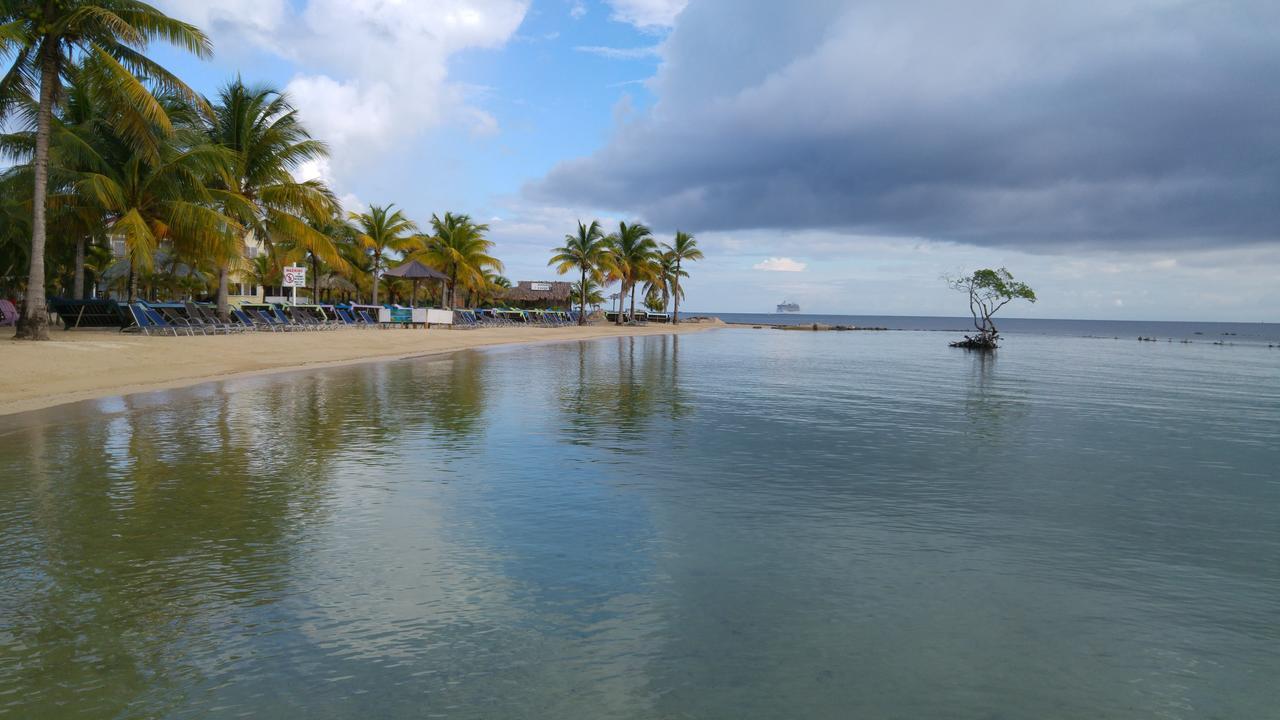 Las Palmas Beach Hotel Dixon Cove Екстериор снимка