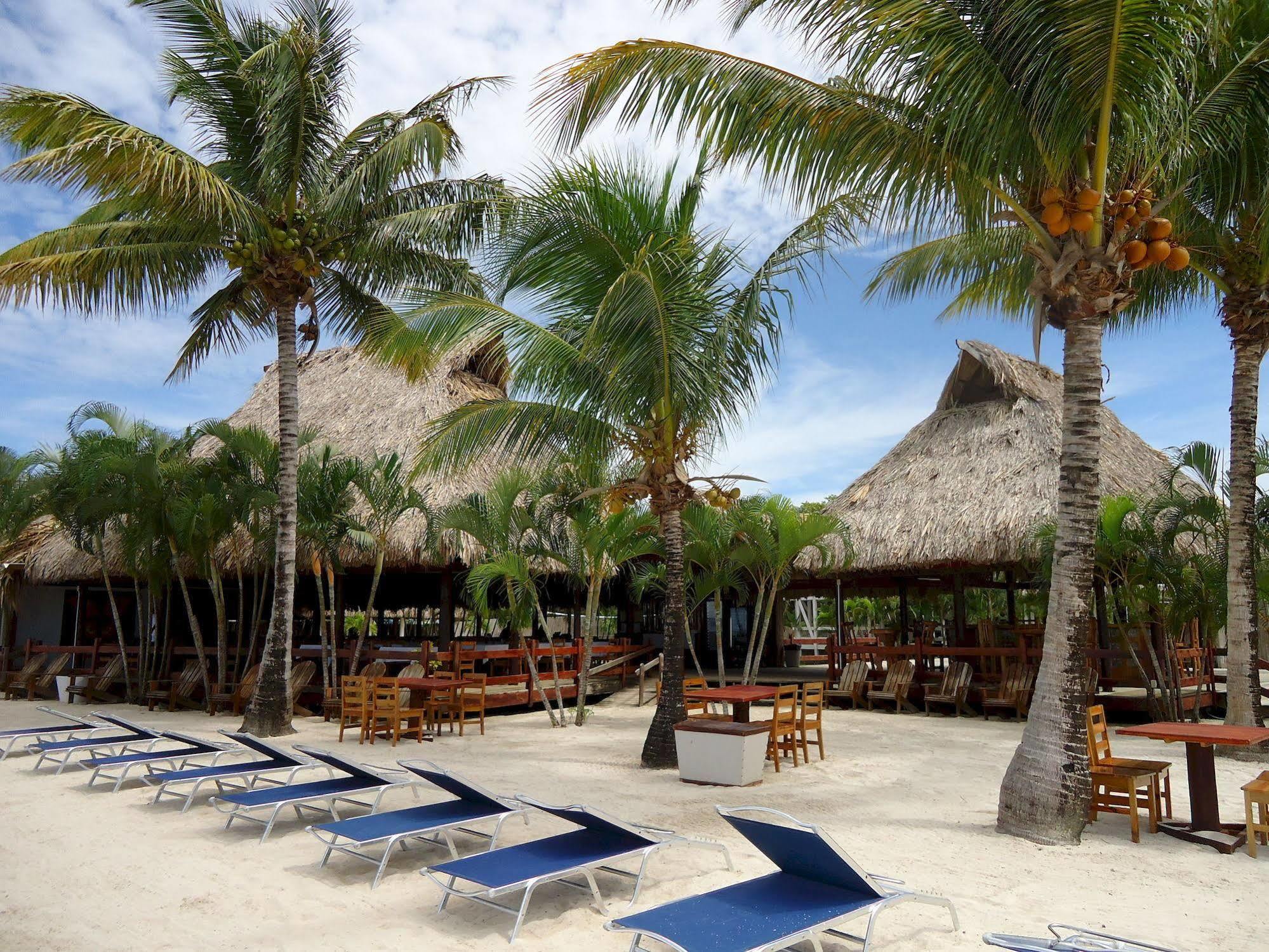 Las Palmas Beach Hotel Dixon Cove Екстериор снимка