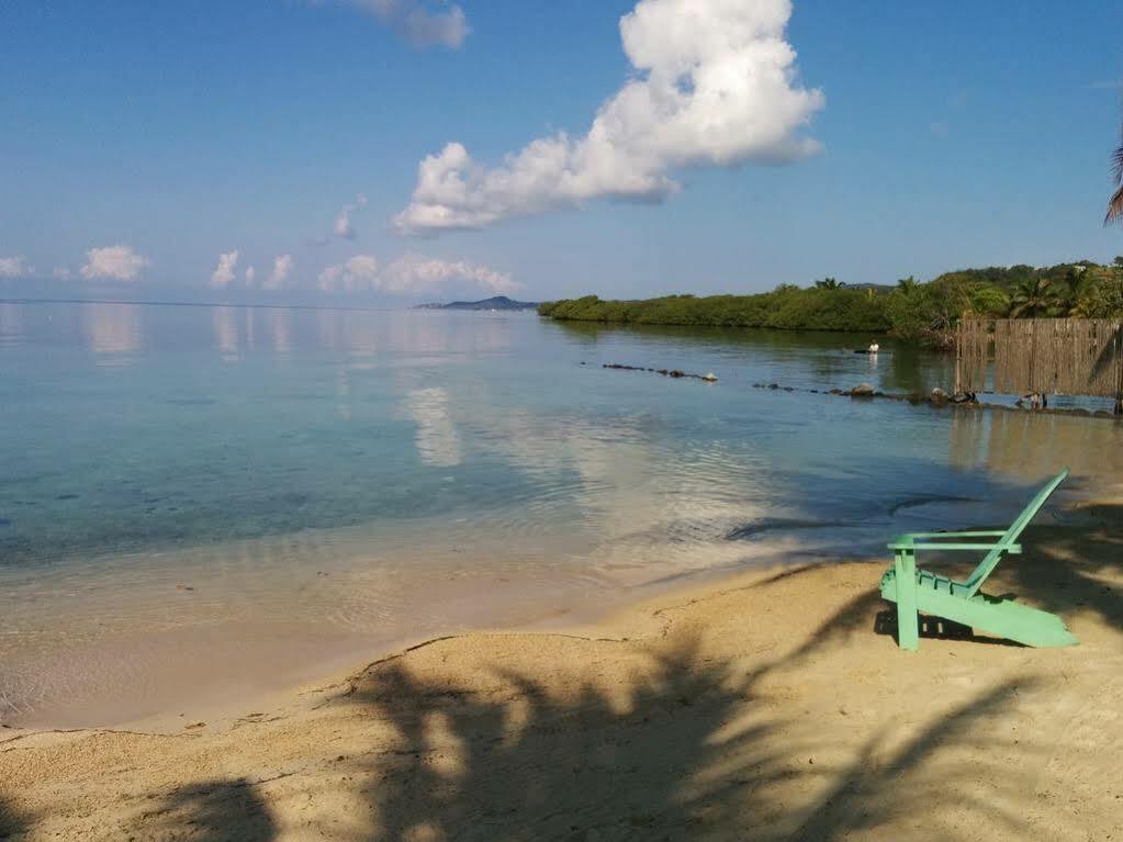 Las Palmas Beach Hotel Dixon Cove Екстериор снимка